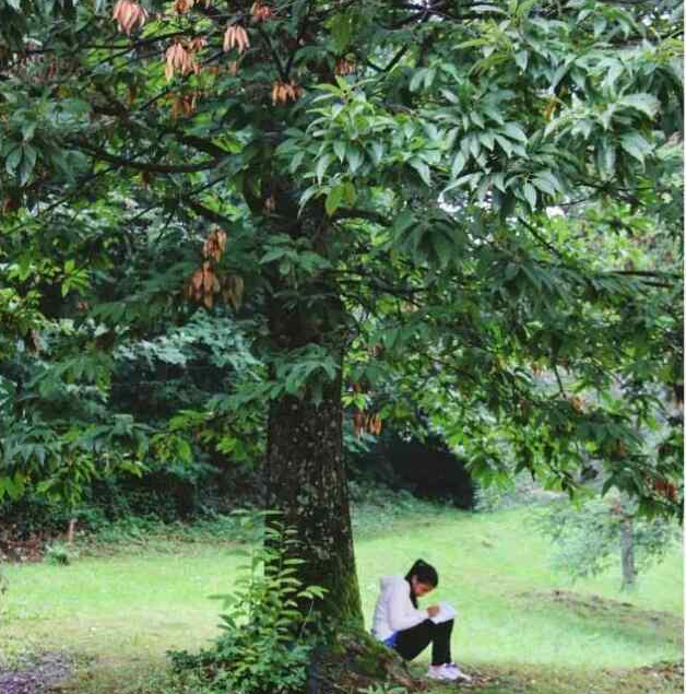 Ragazza che riflette sotto un albero del bosco a Loiano