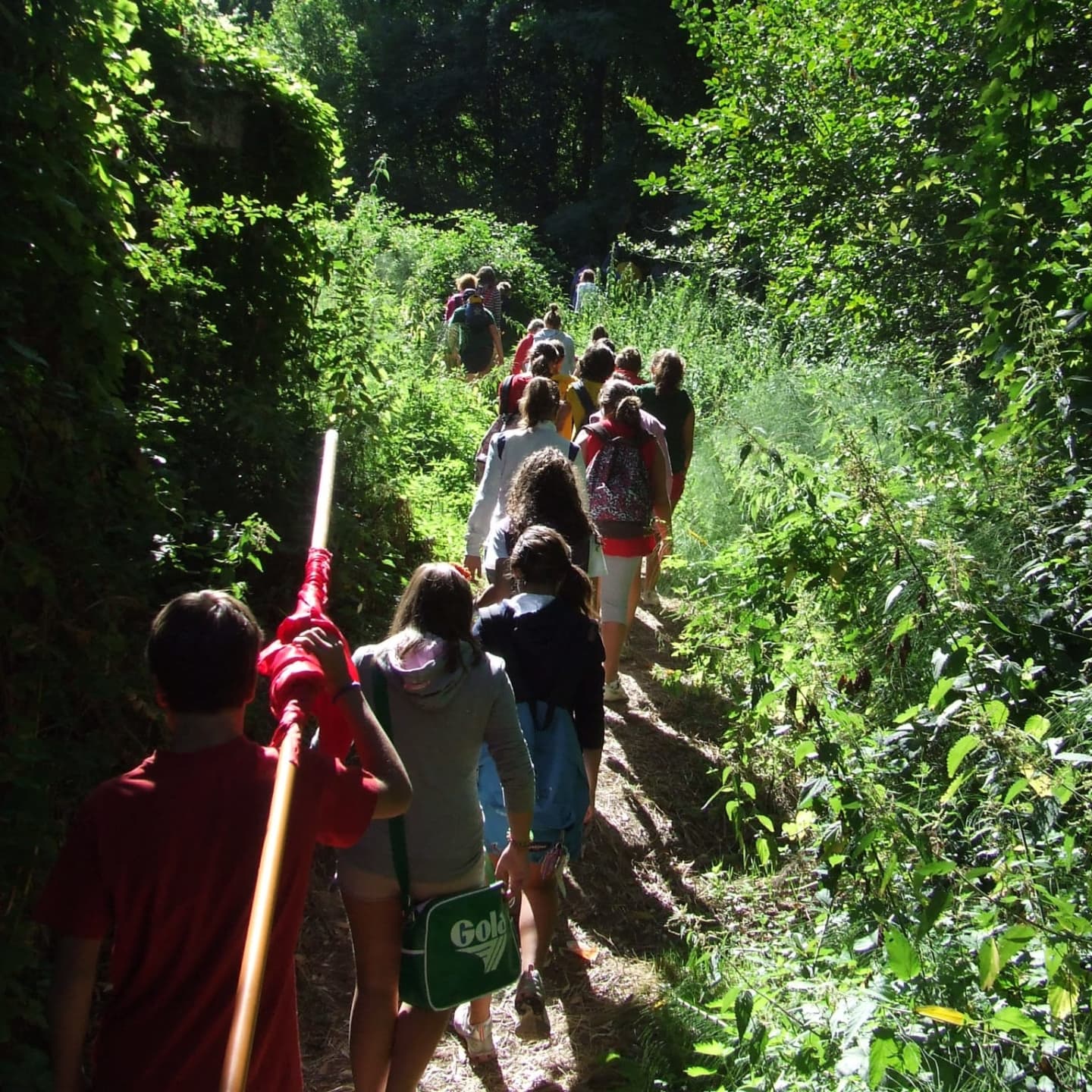 Percorso nel bosco